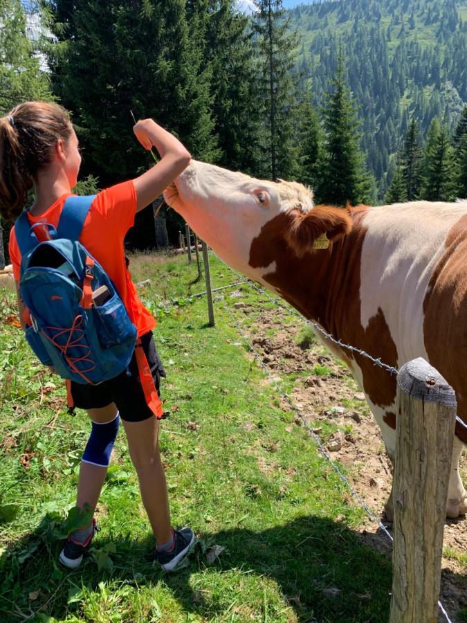 Hotel Alpina Kleinarl Dış mekan fotoğraf