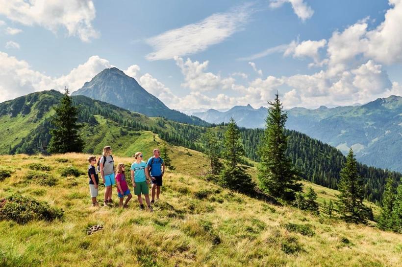 Hotel Alpina Kleinarl Dış mekan fotoğraf
