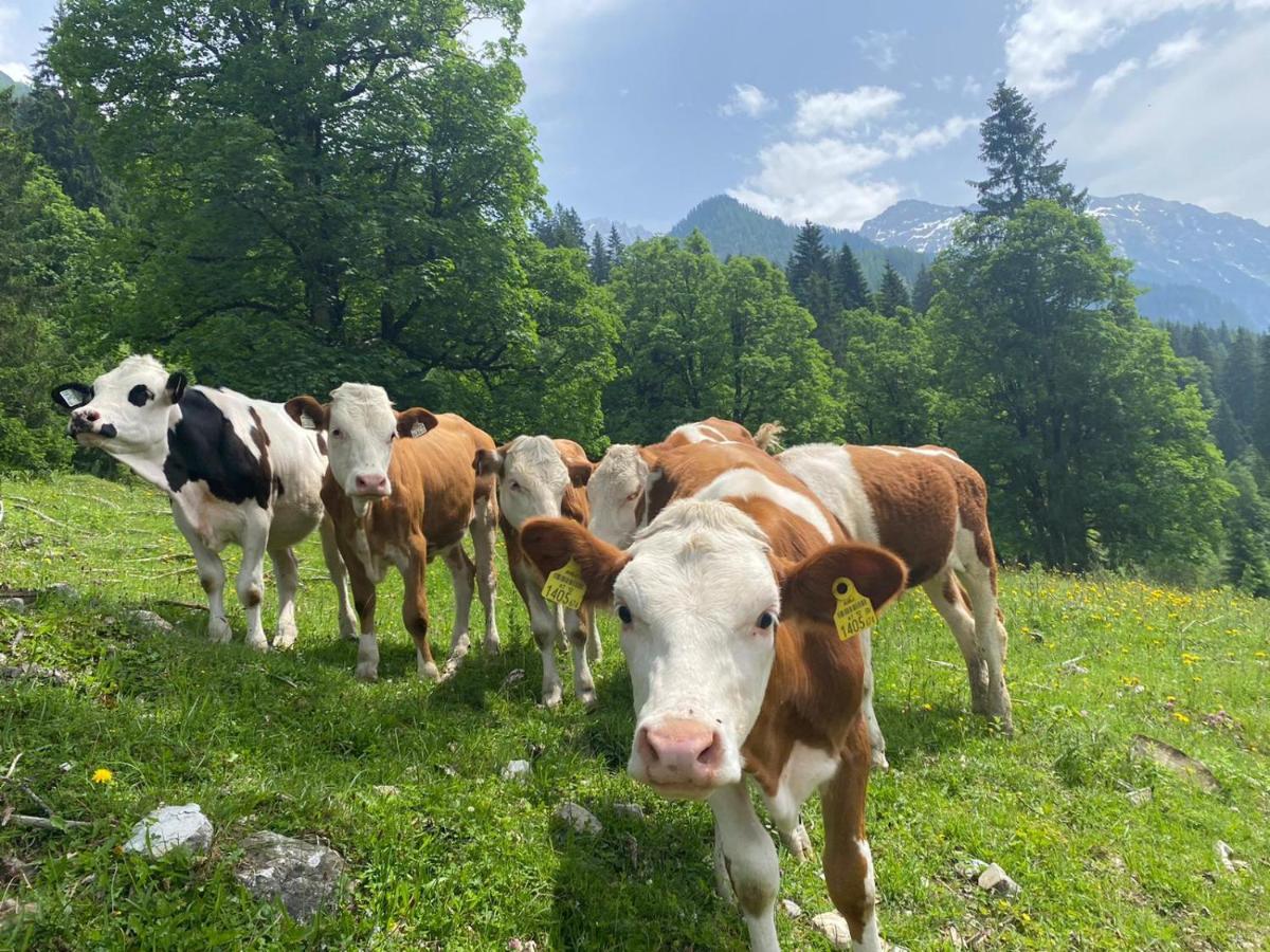 Hotel Alpina Kleinarl Dış mekan fotoğraf