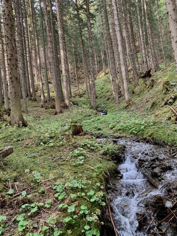 Hotel Alpina Kleinarl Dış mekan fotoğraf