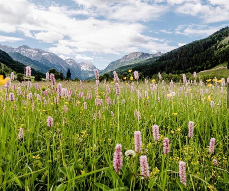 Hotel Alpina Kleinarl Dış mekan fotoğraf