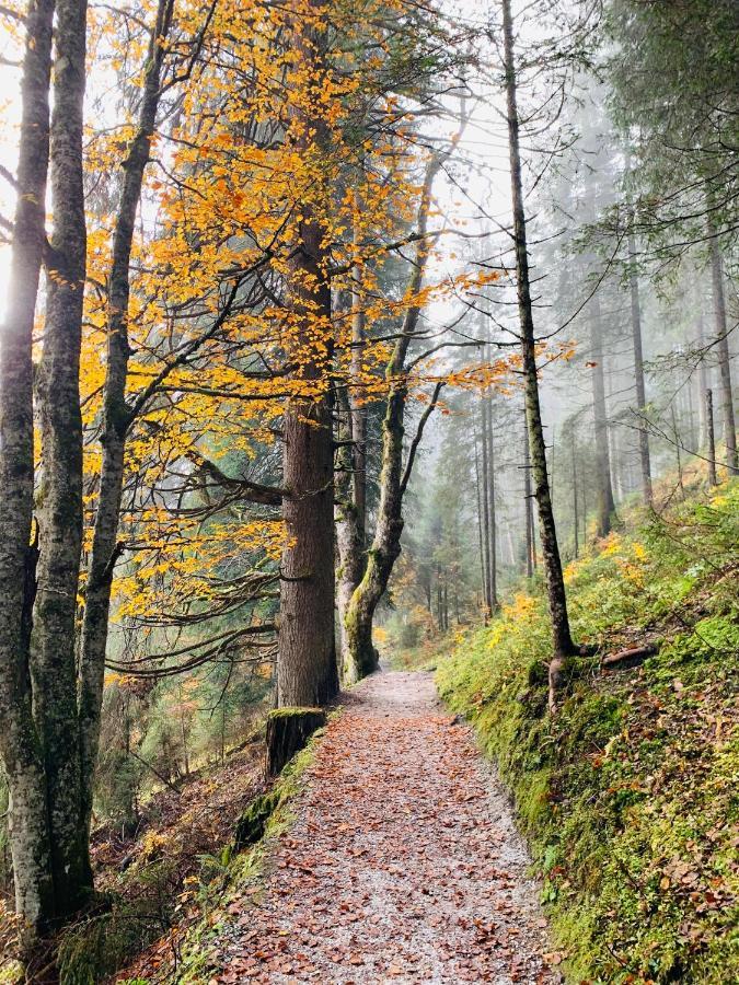 Hotel Alpina Kleinarl Dış mekan fotoğraf