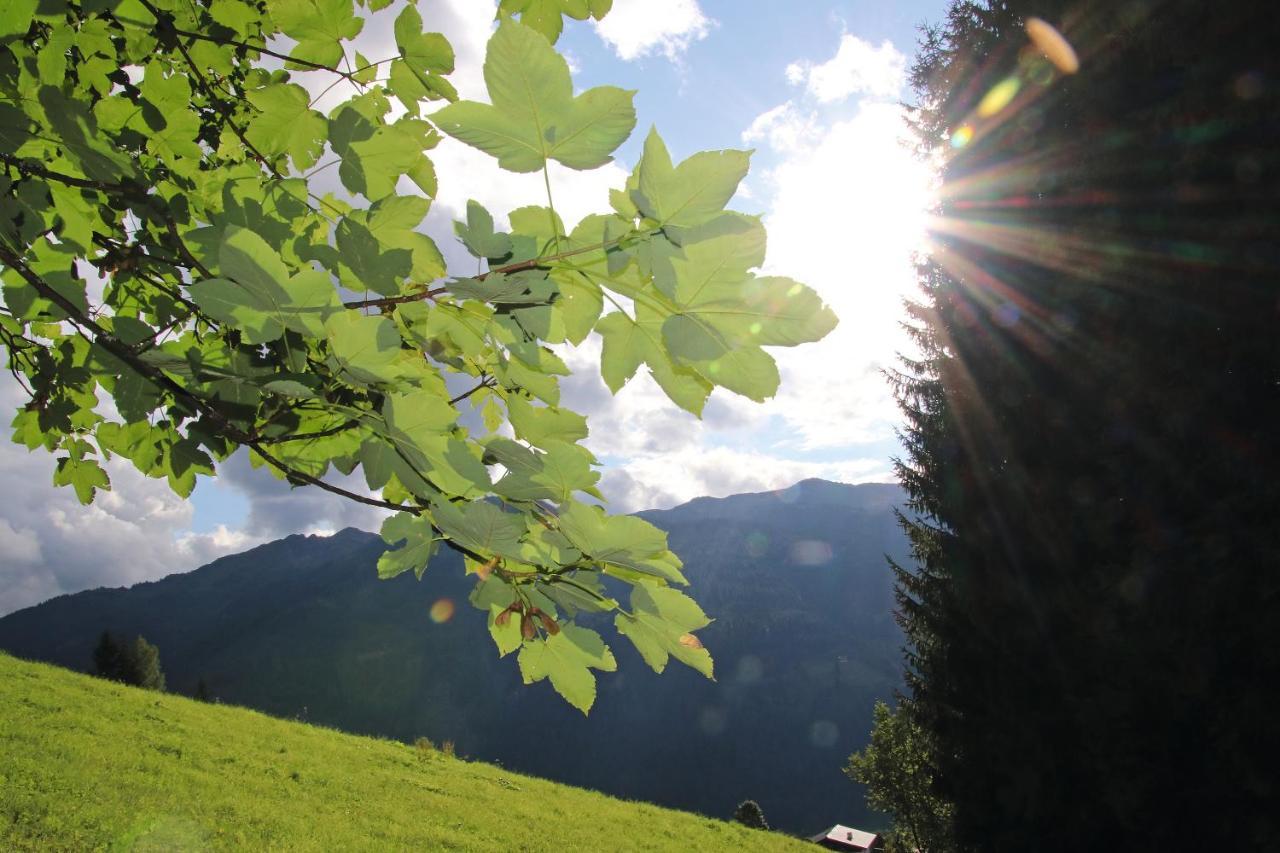 Hotel Alpina Kleinarl Dış mekan fotoğraf