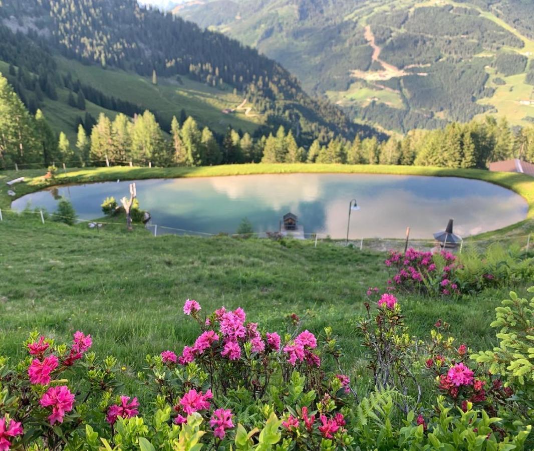 Hotel Alpina Kleinarl Dış mekan fotoğraf
